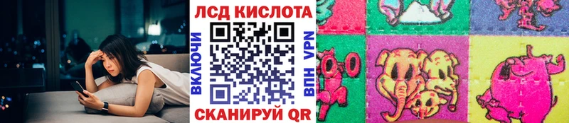 мориарти какой сайт  Курганинск  Наркотические марки 1,5мг 