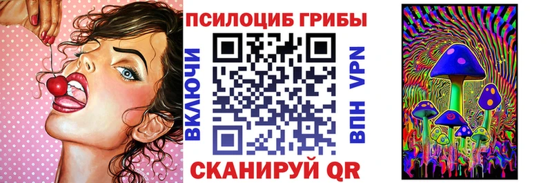 купить наркоту  Курганинск  Галлюциногенные грибы мицелий 