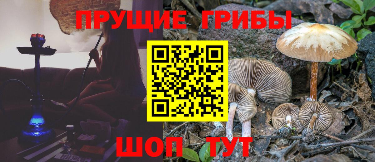 Галлюциногенные грибы MAGIC MUSHROOMS Курганинск